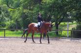 KBK52524_b